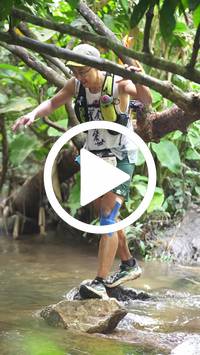 BIB:  <button type="button" onclick="openModal(27824268)" class="btn btn-primary btn-sm float-right" data-toggle="modal" data-target=".modal-high-quality">
                <i class="fa fa-download"></i> Download
                </button>